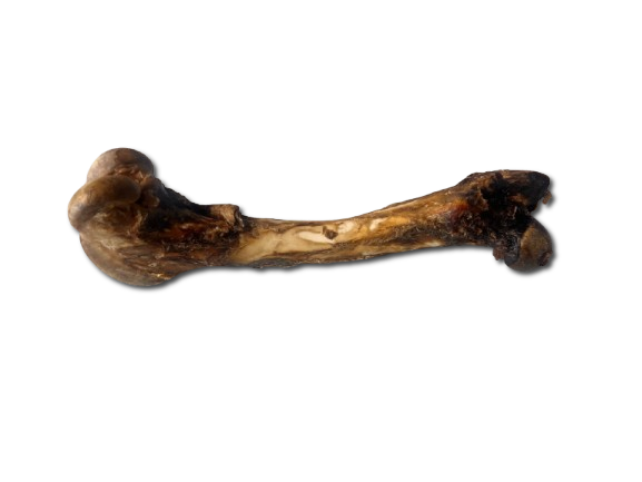 Whole Air-Dried Wild Venison Cannon Bones | SPECIAL PRICE