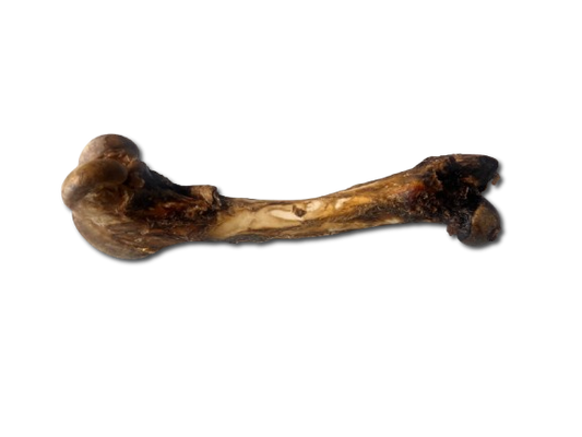 Whole Air-Dried Wild Venison Cannon Bones | SPECIAL PRICE